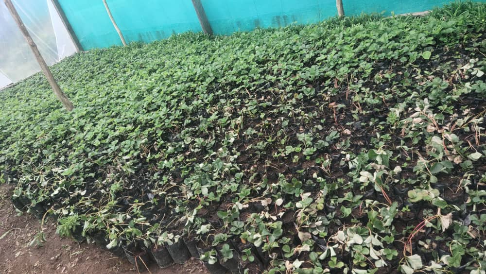 9f70ab21-a394-4a33-88f8-a5dc1fe0d5eb