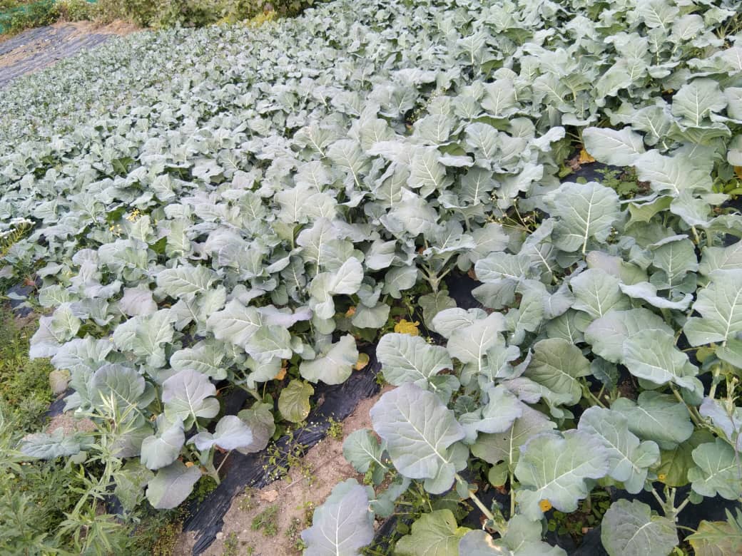 d3780e81-674b-4fc3-9424-a1dfb51ea630